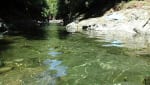 Foto 1 de Río Claro, Puntarenas