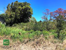 Foto 3 de Moravia, Heredia