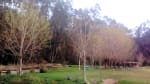 Foto 3 de Curanilahue, Biobío