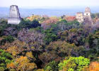 Foto 4 de Tikal, Petén