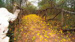 Foto 4 de Arenillas, El Oro