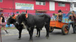 Foto 1 de San Antonio, Heredia