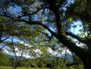 Foto 6 de Villavicencio, Meta