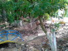 Foto 2 de Aguachica, Cesar