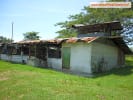 Foto 5 de Jicaral, Puntarenas