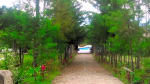 Foto 2 de San Ignacio, Chalatenango