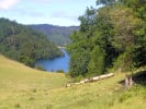 Foto 8 de Panguipulli, Los Ríos