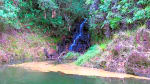 Foto 5 de Carolina, Antioquia