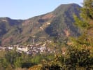 Foto 4 de Arboleda, Nariño