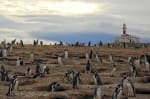 Foto 5 de Punta Arenas, Magallanes y de la Antártica Chilena