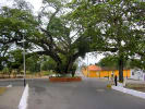 Foto 2 de Guama, Yaracuy
