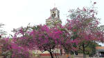 Foto 3 de Saldaña, Tolima