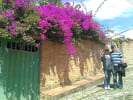Foto 3 de Jenezano, Boyacá