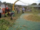 Foto 3 de Nueva Concepción, Escuintla