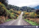 Foto 4 de Aisén, Aysén del General Carlos Ibáñez del Campo