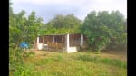 Foto 1 de Guama, Yaracuy