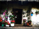 Foto 1 de Sapuyes, Nariño