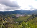Foto 4 de Balsas, El Oro