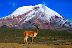 Foto 5 de Riobamba, Chimborazo