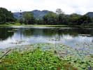 Foto 6 de Turrialba, Cartago
