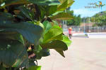 Foto 2 de Jucuarán, Usulután