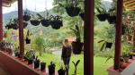 Foto 4 de Genova, Quindío