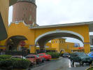 Foto 7 de Flores, Heredia