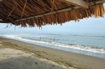 Foto 3 de El Guabo, El Oro