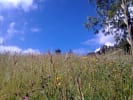 Foto 3 de Villa De San Diego De Ubaté, Cundinamarca