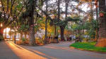 Foto 4 de Curicó, Maule
