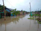 Foto 4 de Ciénaga, Magdalena