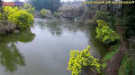 Foto 5 de Gorbea, La Araucanía