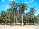 Foto 2 de Buenos Aires, Puntarenas