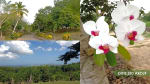 Foto 5 de Turbaco, Bolívar