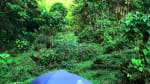 Foto 1 de El Aguila, Valle del Cauca