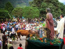 Foto 5 de San Isidro, San José