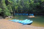 Foto 2 de Río Claro, Puntarenas
