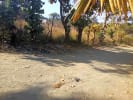 Foto 5 de Sanarate, El Progreso