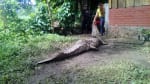 Foto 6 de Cara Sucia, Ahuachapán