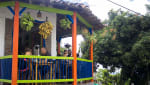 Foto 2 de Buenavista, Quindío