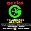 Fotos de Gecko Autodetail