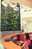 Foto 2 de Dental City