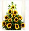 Foto 5 de Floristeria Acuarium