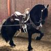 Foto 5 de Happy Horse Boutique Ecuestre