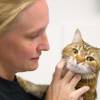 Photo 4 of West Springs Veterinary Hospital