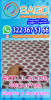 Foto 4 de Sago Impresores