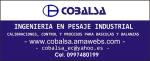 Foto 2 de Cobalsa