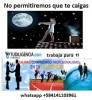 Foto 5 de Tudiligencia.com