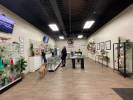 Photos of Character Co. Ltd.