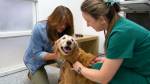 Photos of West Springs Veterinary Hospital